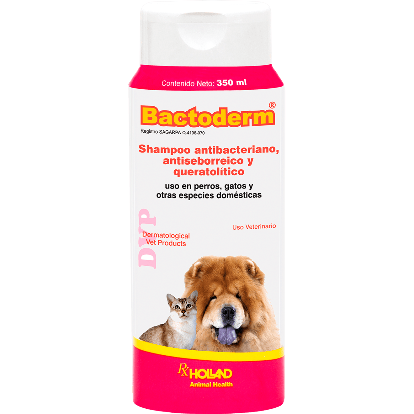 Bactoderm Shampoo Dog