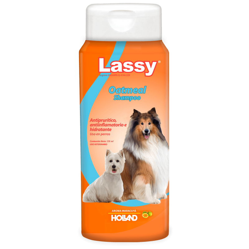 Lassy Oatmeal Dog