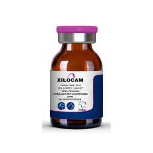 XILOCAM 5 MG 20 ML HALVET